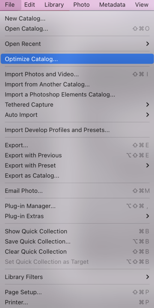 A screenshot of the Adobe Lightroom File menu.