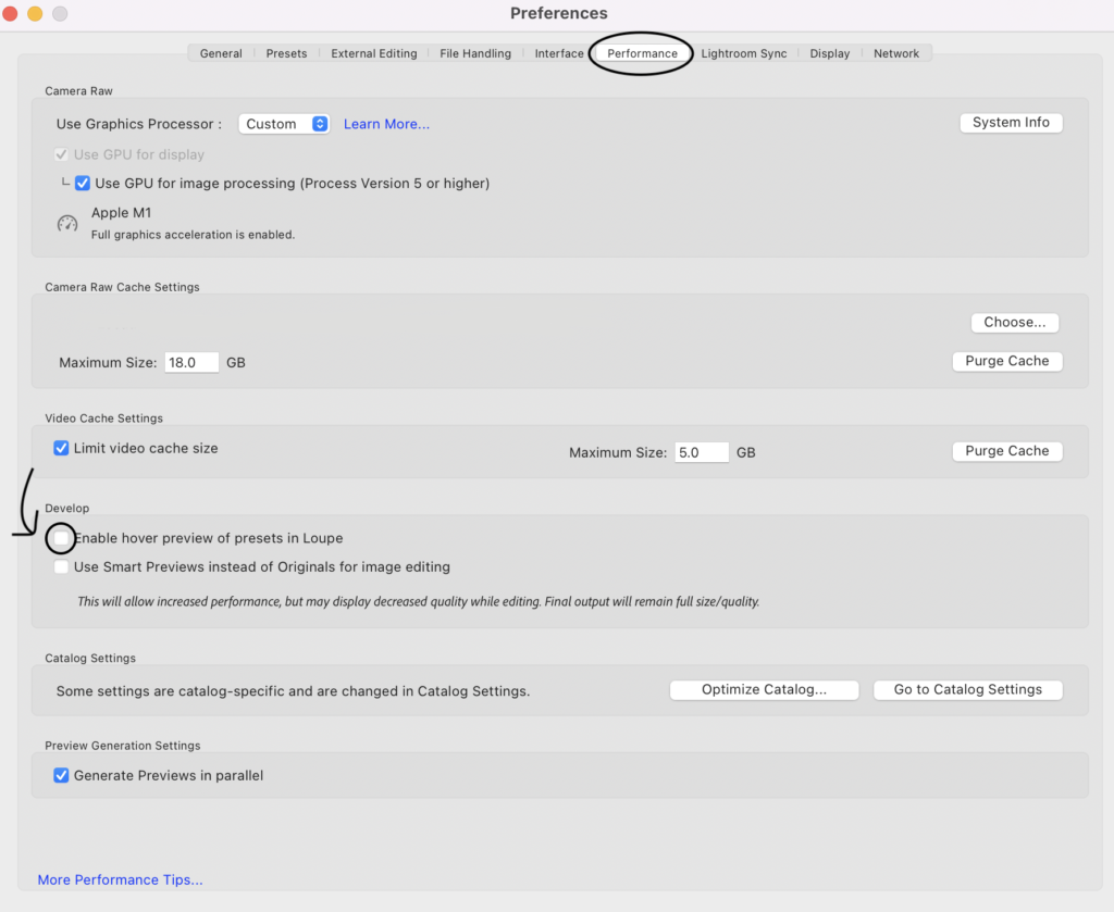 A screenshot of the Adobe Lightroom Performance settings menu.