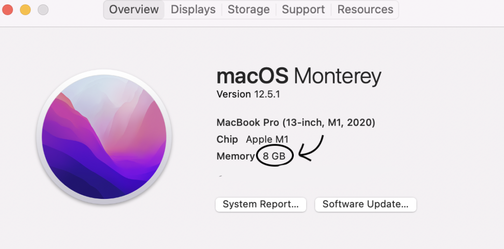 A screenshot of macOS overview highlighting RAM.