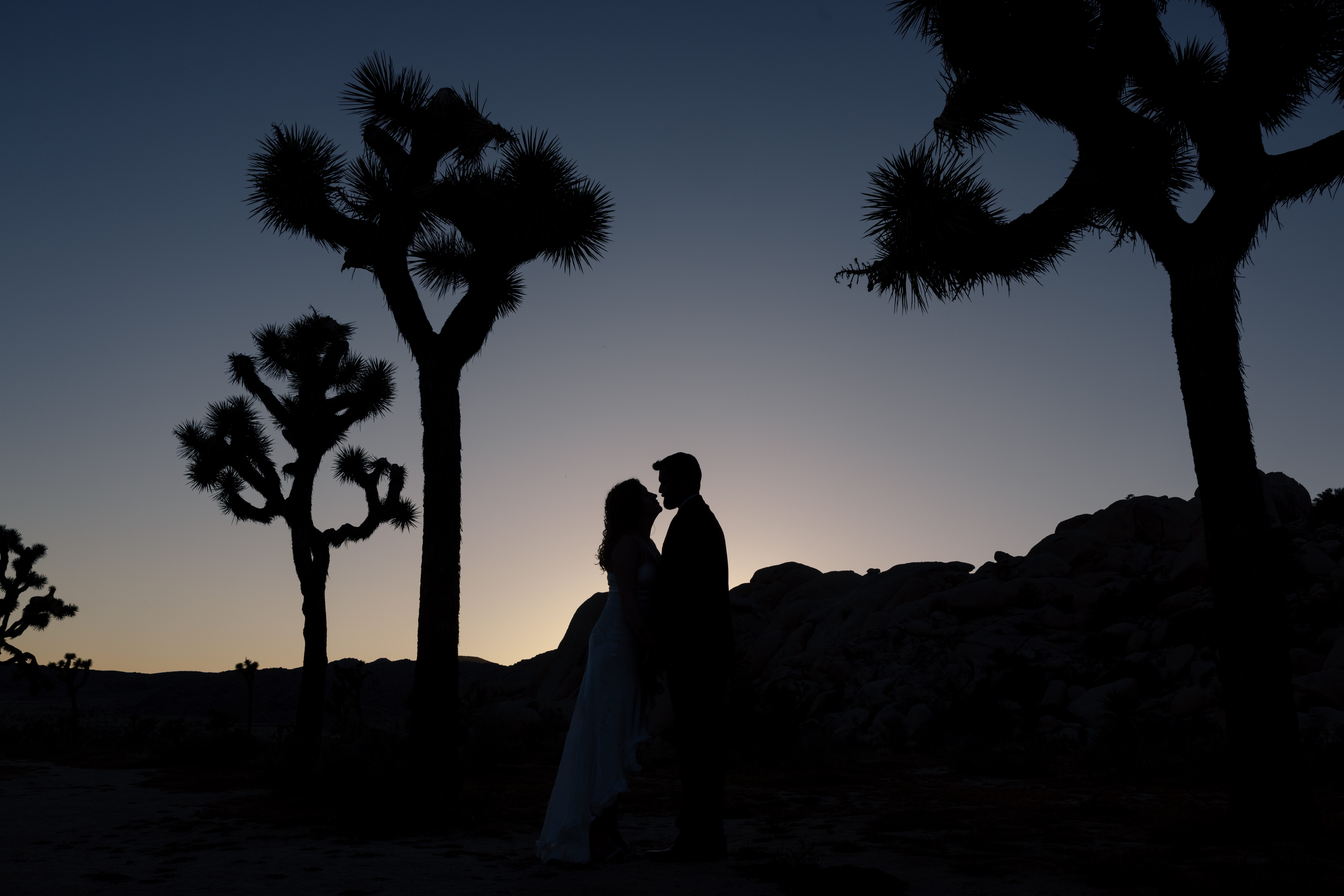 couple kissing in joshua tree during gold hour