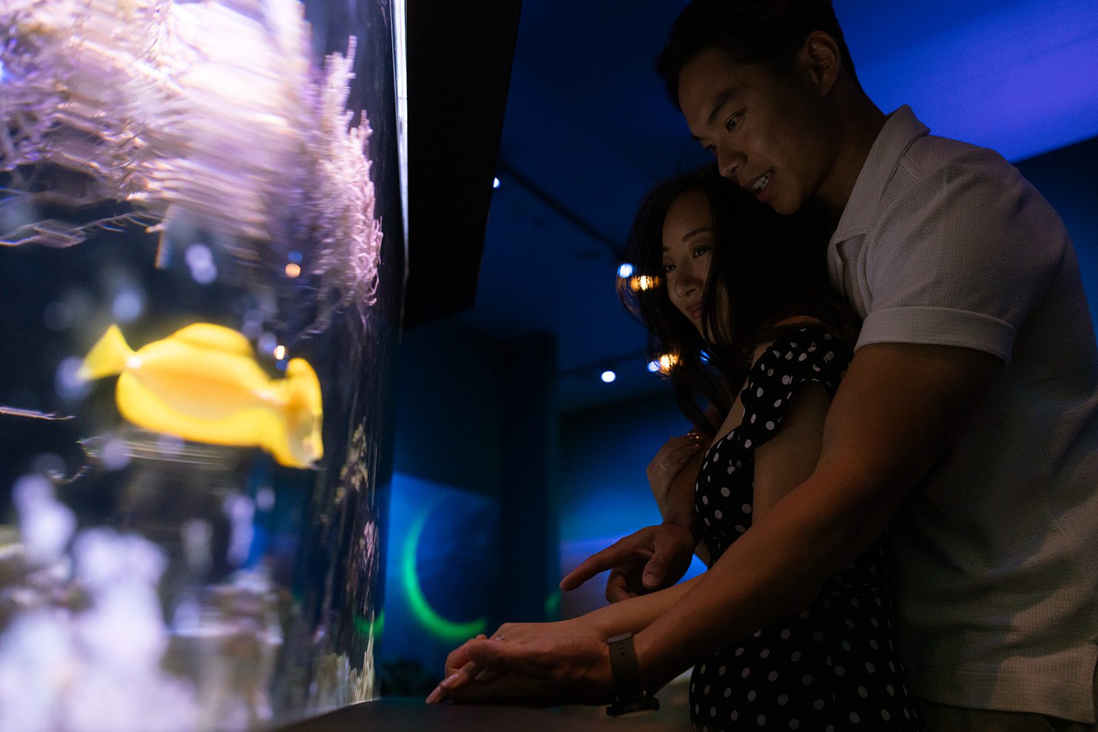 surprise aquarium proposal